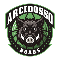 Basket Arcidosso